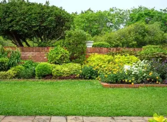 landscaping services Stateline